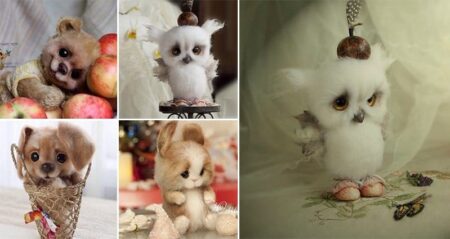 Julia Yurkevich Little Mohair And Wool Animals