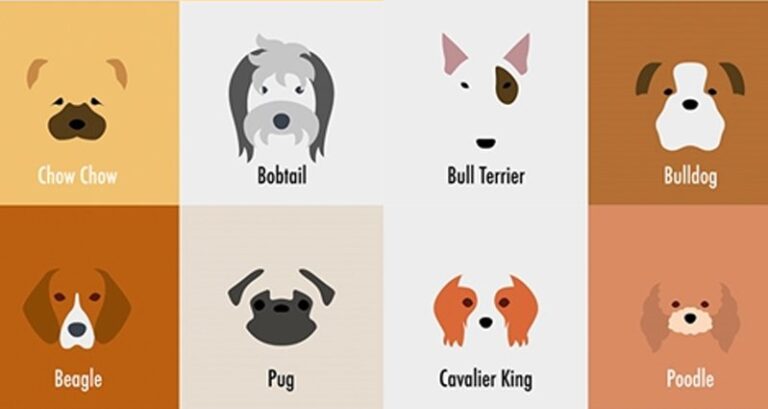 Minimalist Illustrations Of Dog Breeds