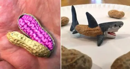Peanut Shell Art