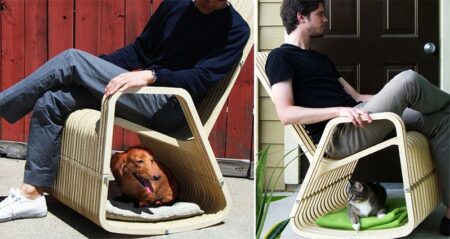 Rocking-2-Gether Chair For People And Pets