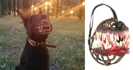 Werewolf Muzzles For Dogs