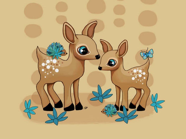 baby deer