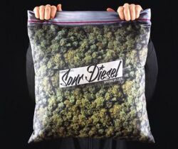 bag of weed cushion cover