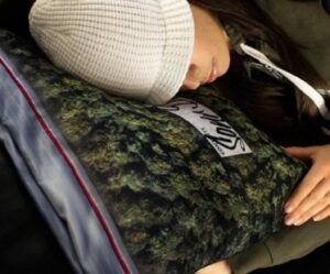 bag of weed cushion cover pillow