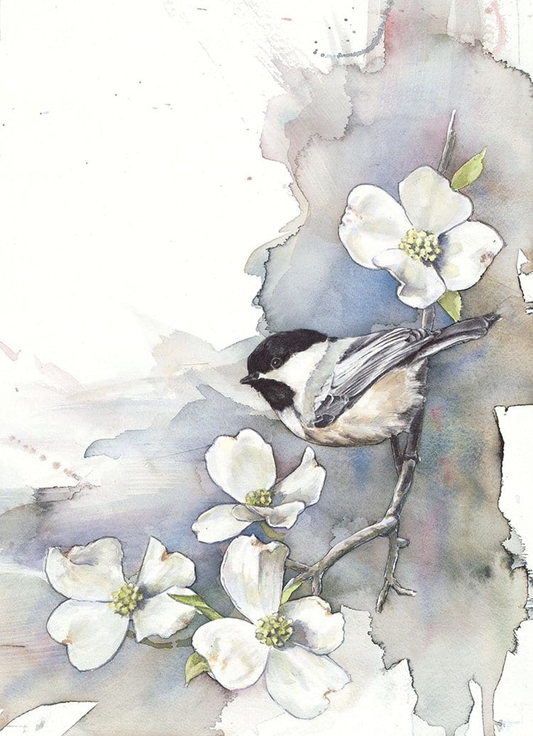 bird-watercolor-paintings-anne-balogh-chickadee