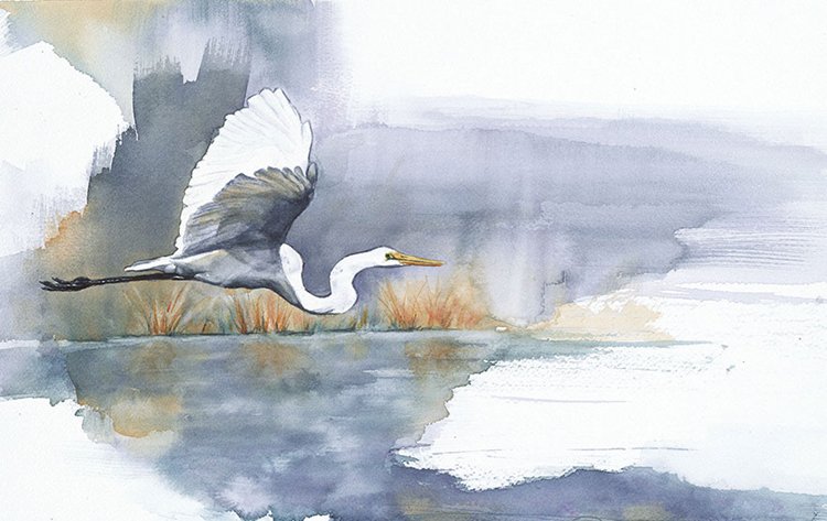 bird-watercolor-paintings-anne-balogh-egret