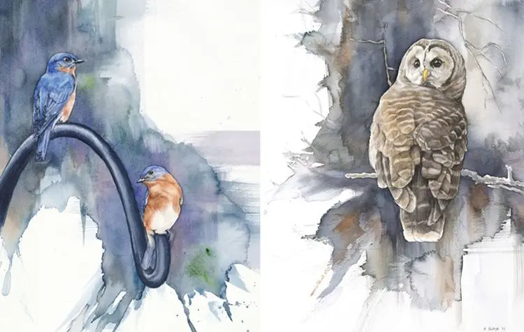 bird-watercolor-paintings-anne-balogh-owl