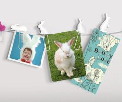 bunny clip picture hangers trail