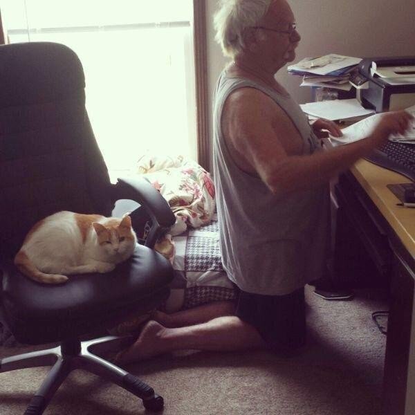 cat chair man kneeling