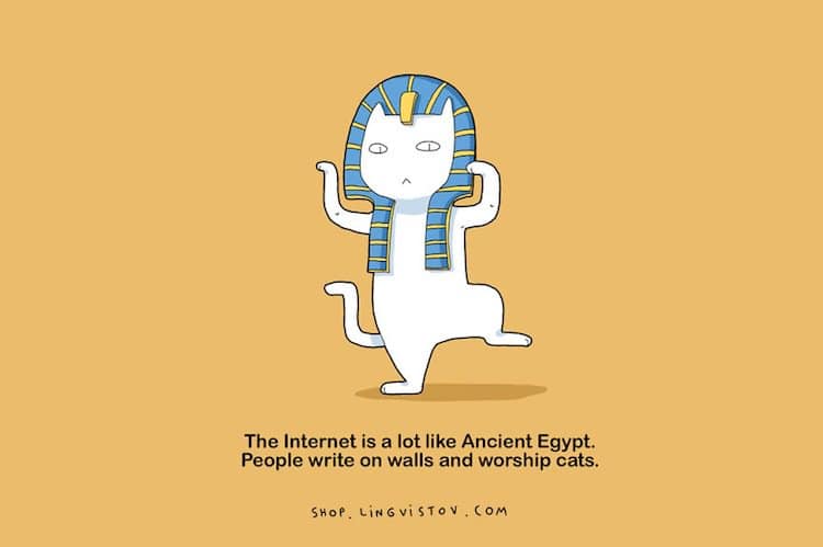 cat-internet