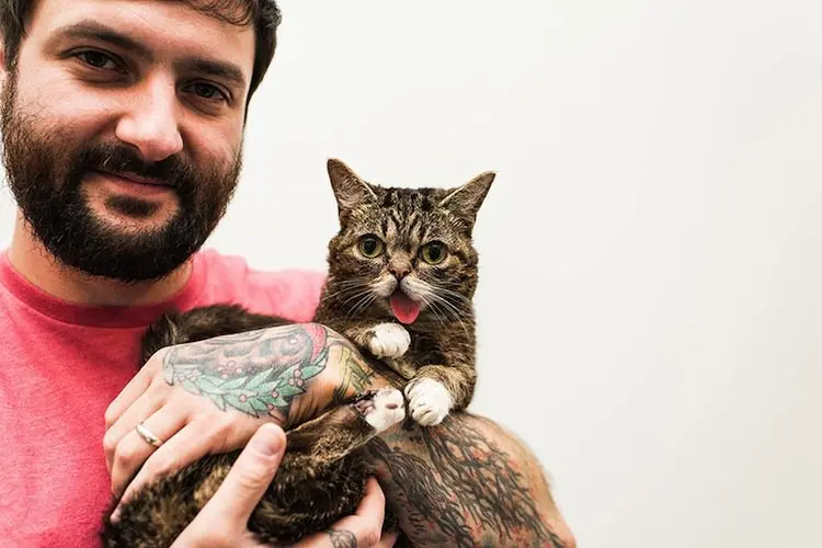 cats-bub-two