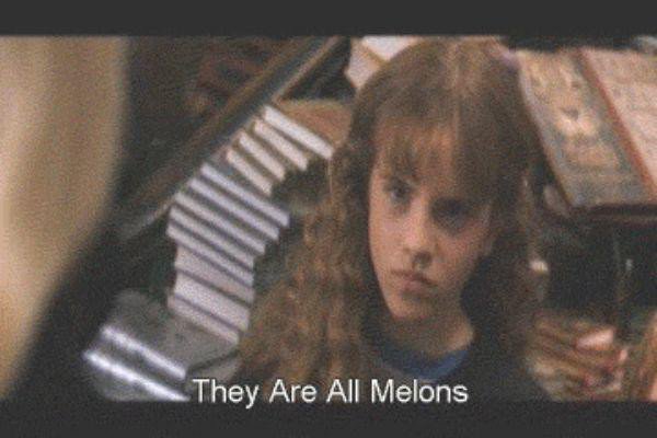 chinese-harry-potter-english-subtitles-all-melons