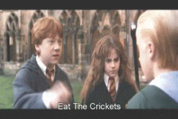 chinese-harry-potter-english-subtitles-eat-crickets