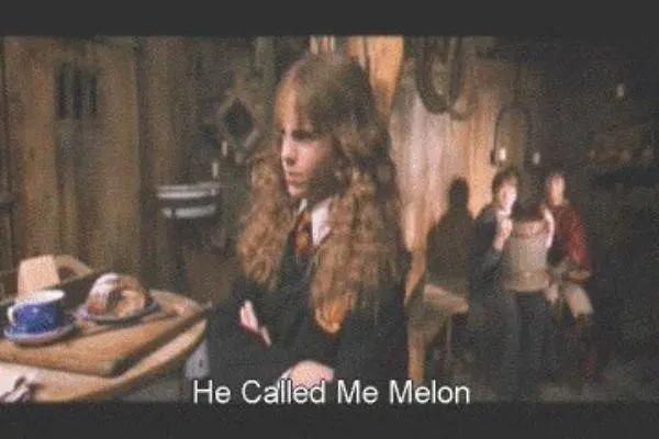 chinese-harry-potter-english-subtitles-even-more-melon