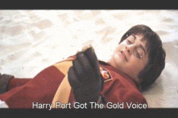 chinese-harry-potter-english-subtitles-gold