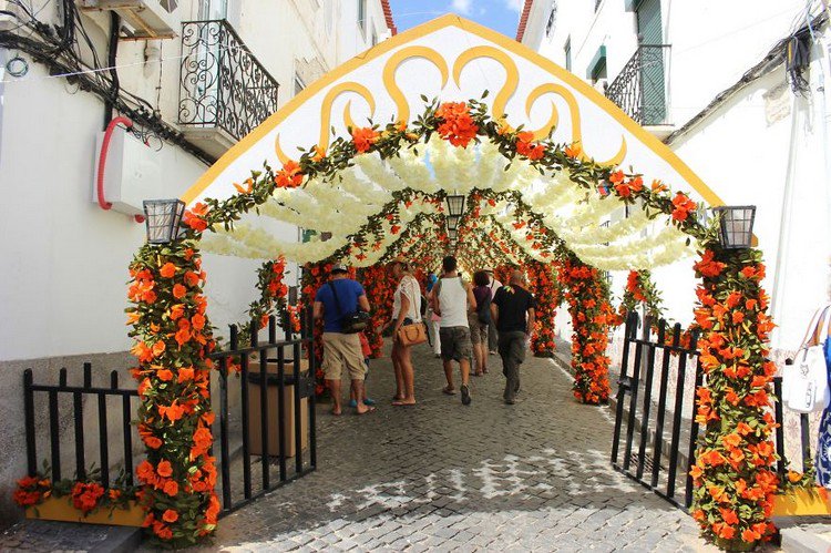 cream orange flowers