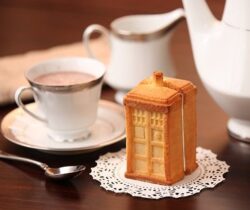 doctor who tardis cake mold