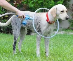 360 Degree Dog Washer