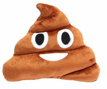 emoji poop pillow