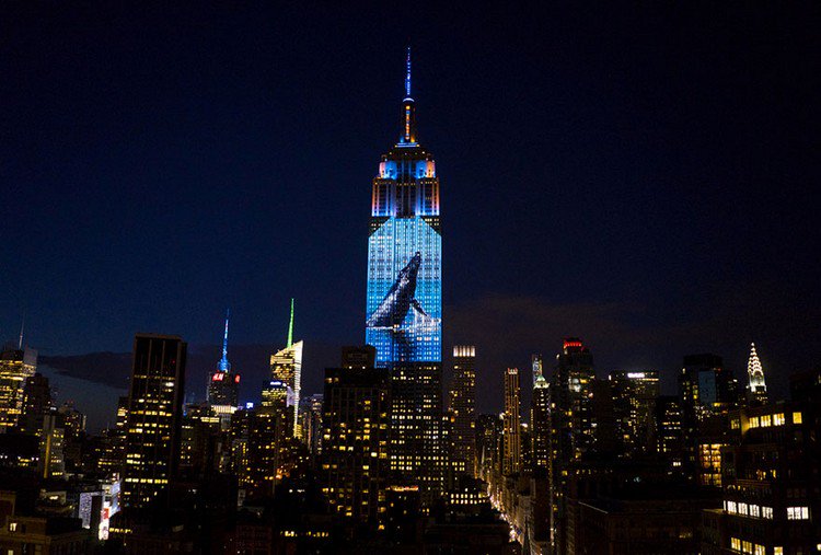 empire state animal projection