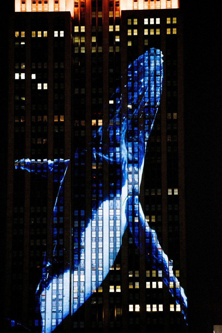 empire state projection animal