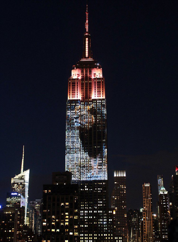 empire state projection cecil lion
