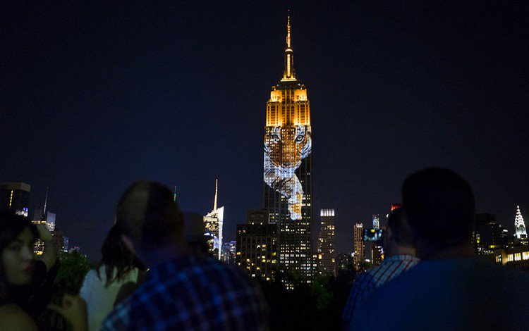 empire state projection tiger