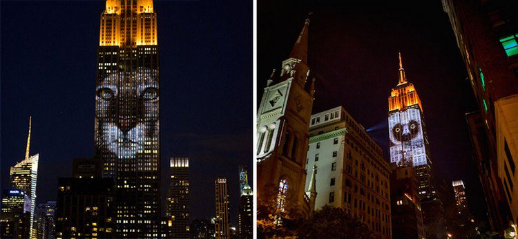 empire state projections