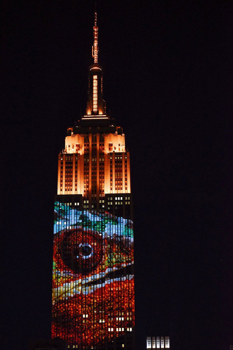 endangered animal projection