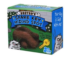 fake dog poop key hider box