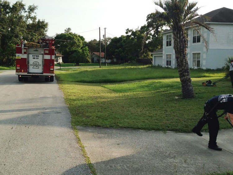 firetruck firemen mowing grass