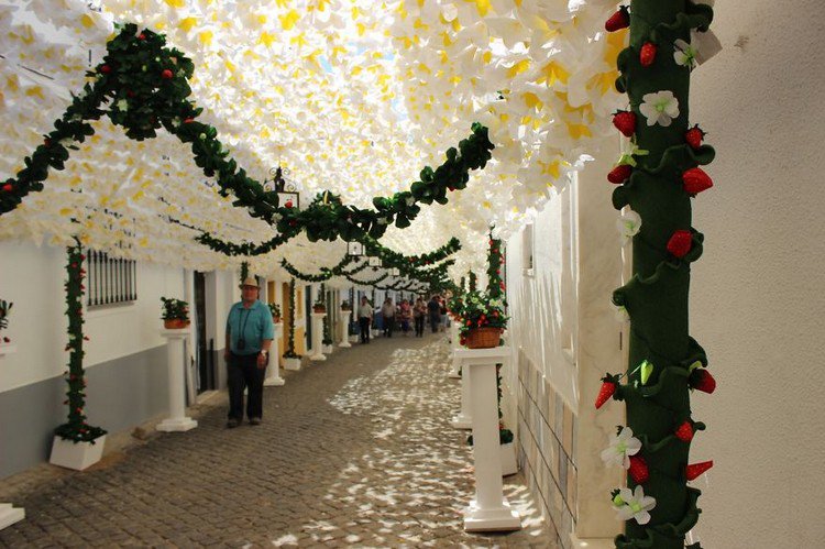 flower canopy man