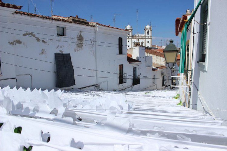 flower festival portugal buildings