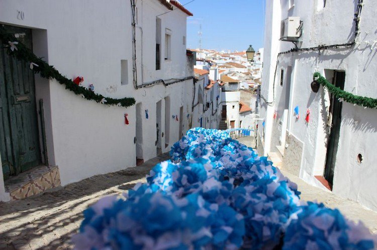 flower festival portugal street blue flowers