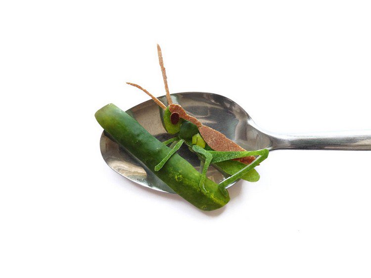 grasshopper on spoon