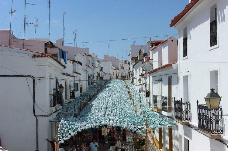 green white flower canopy above