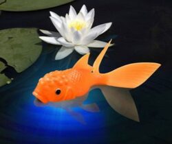light-up fish