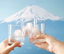 mount fuji ice mold
