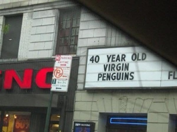 movie-theater-signs-penguins