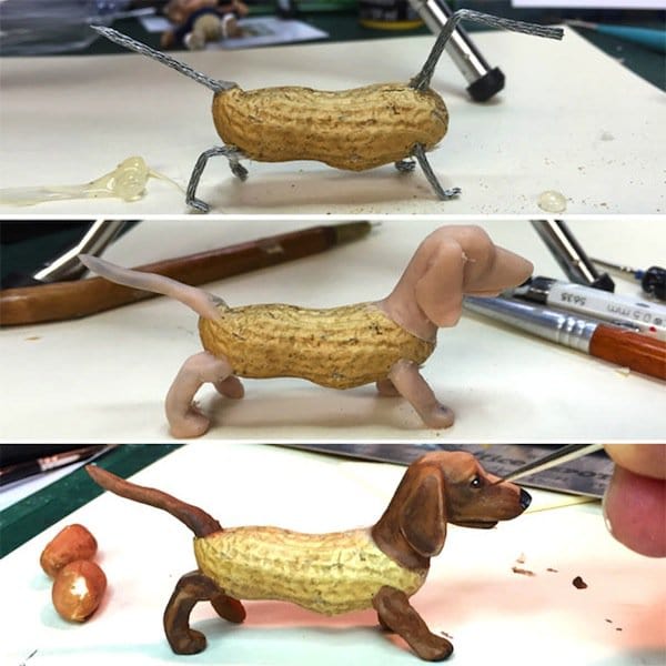 nuts-dog