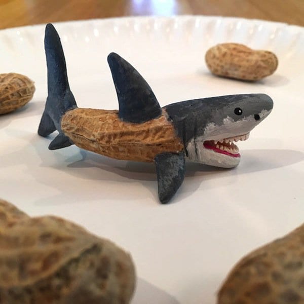 nuts-shark