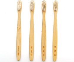 one year toothbrush supply