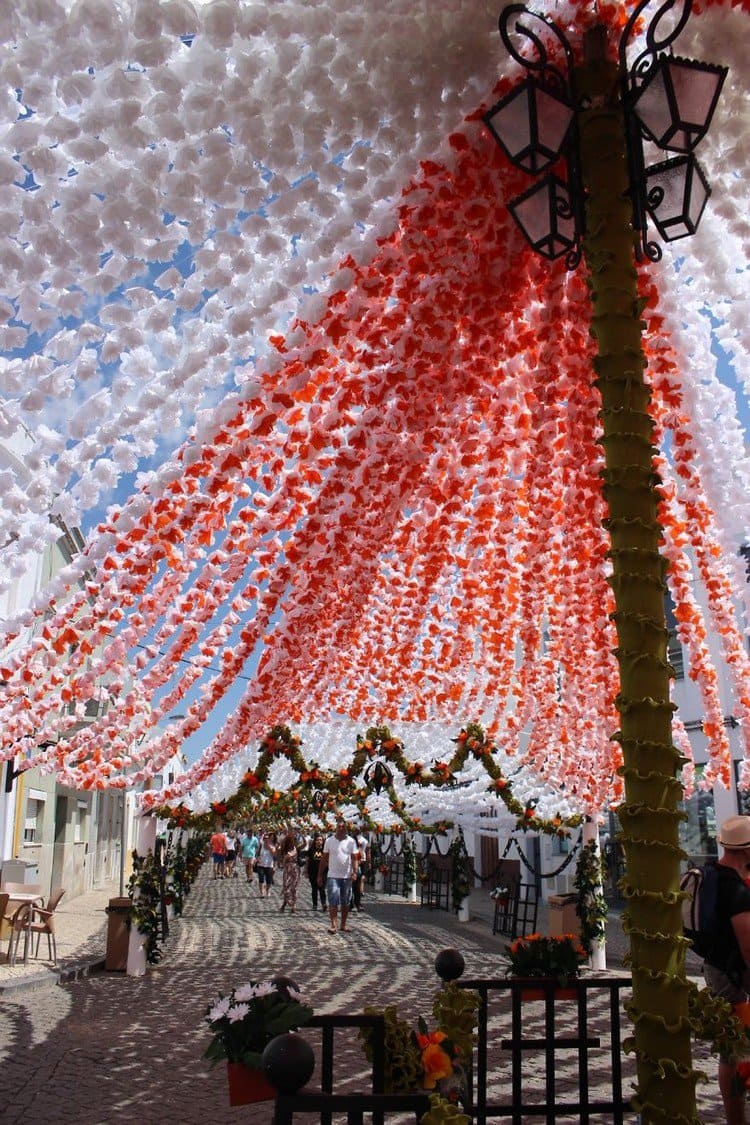 orange flower canopy