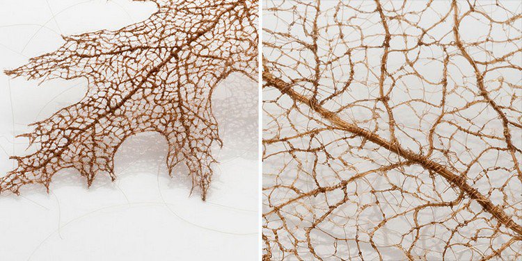 pair human hair leaves