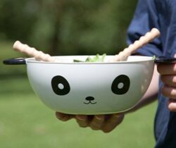 panda bowl