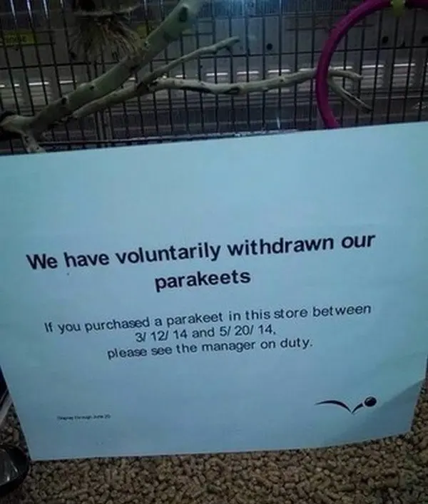 parakeet withdrawal sign