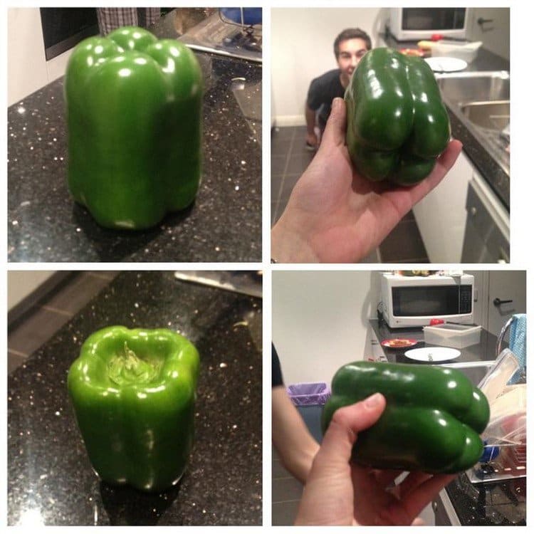 perfect pepper
