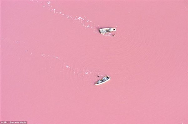 photos-wont-believe-pink lake