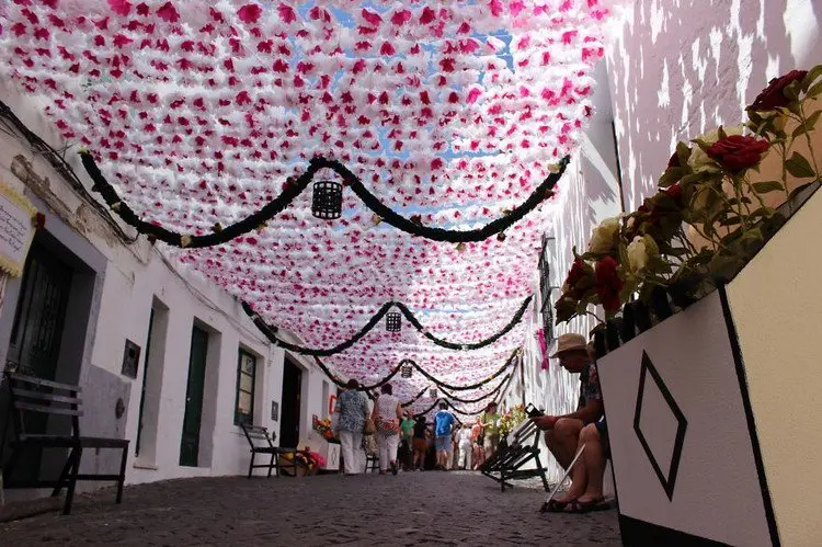pink white flower canopy