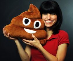 poop emoji pillow
